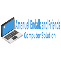 Amanuel, Endalk and Friends Computer Solution